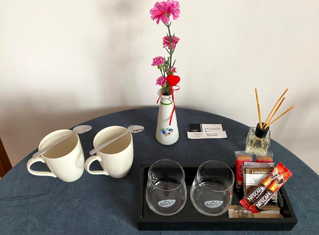 Willa Plater 切霍齐内克 外观 照片
